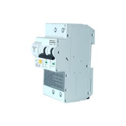   WDYK MCB POW 10A 2P Wi-Fi Smart Mini Circuit Breaker, with power meter and overload protection (max. 10A, 1P+1N)